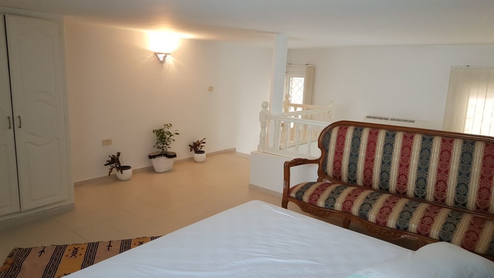 Traditional Apartment, 1 Bedroom photo 3