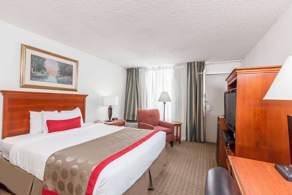 Suite, 1 Queen Bed, Non Smoking, Kitchen photo 1
