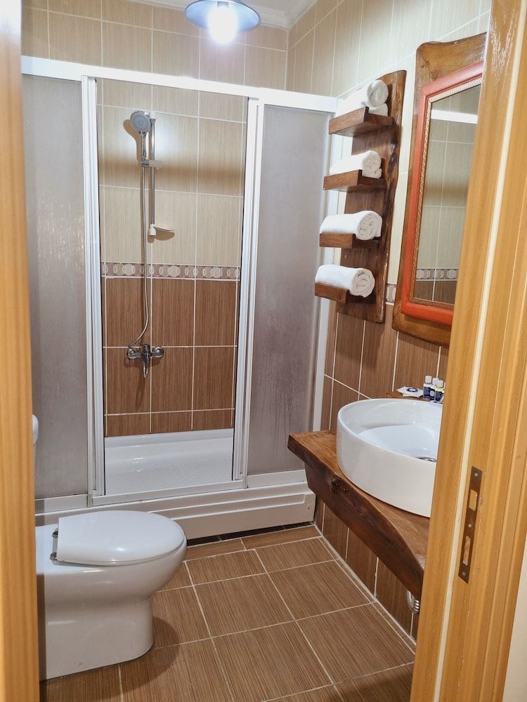 Deluxe Single Room photo 3