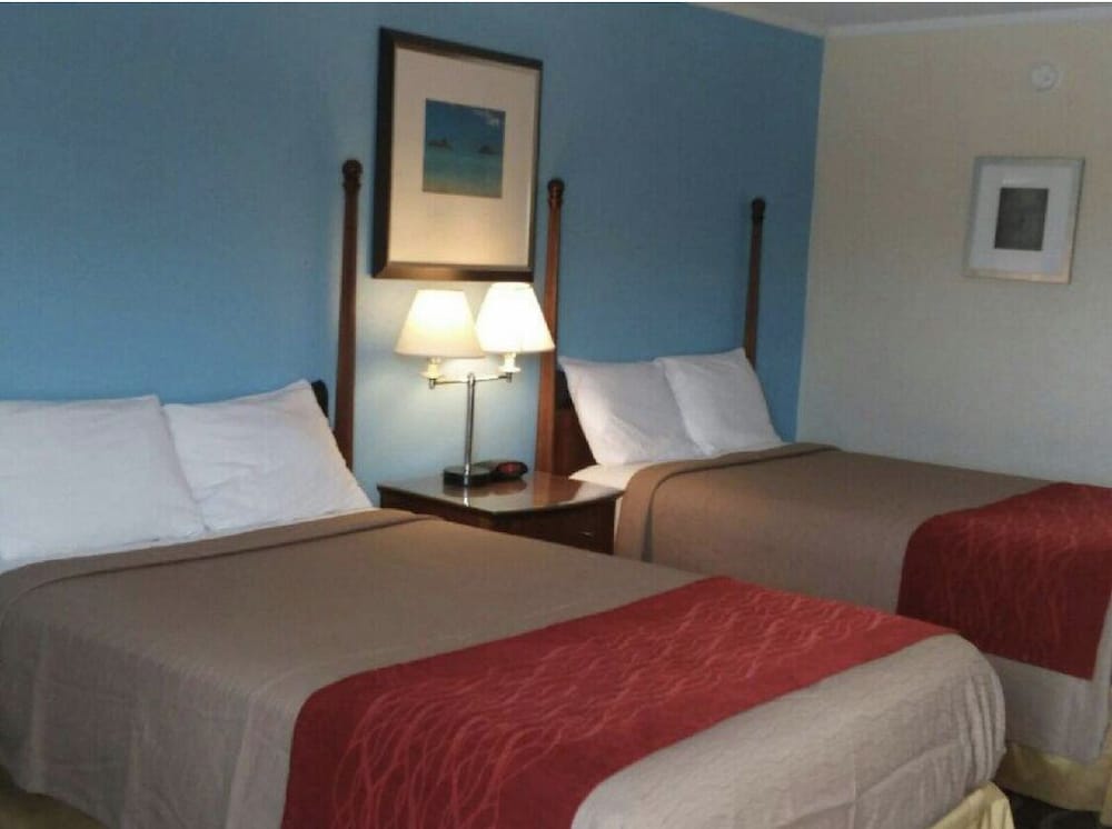 Deluxe Double Room Single Use photo 2