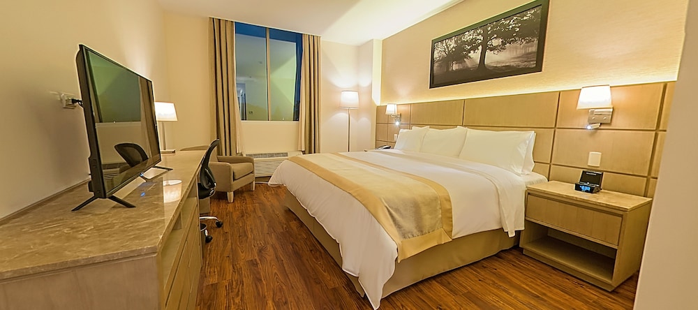 Room, 1 King Bed, Non Smoking photo 2