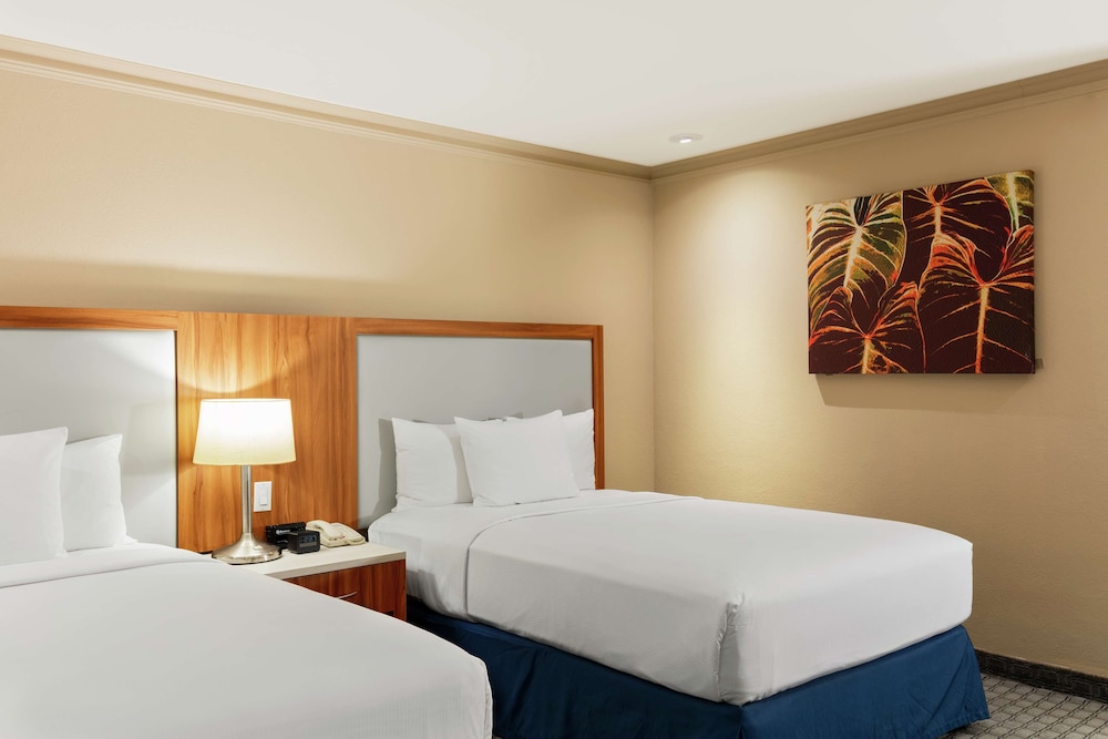 Room, 2 Double Beds, City View