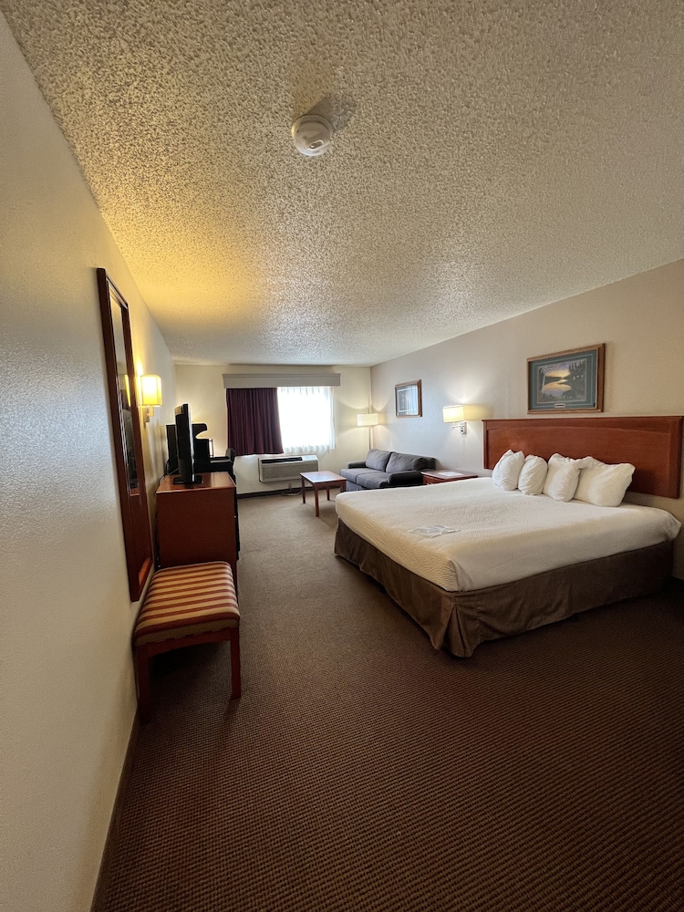 Suite, 1 King Bed photo 1