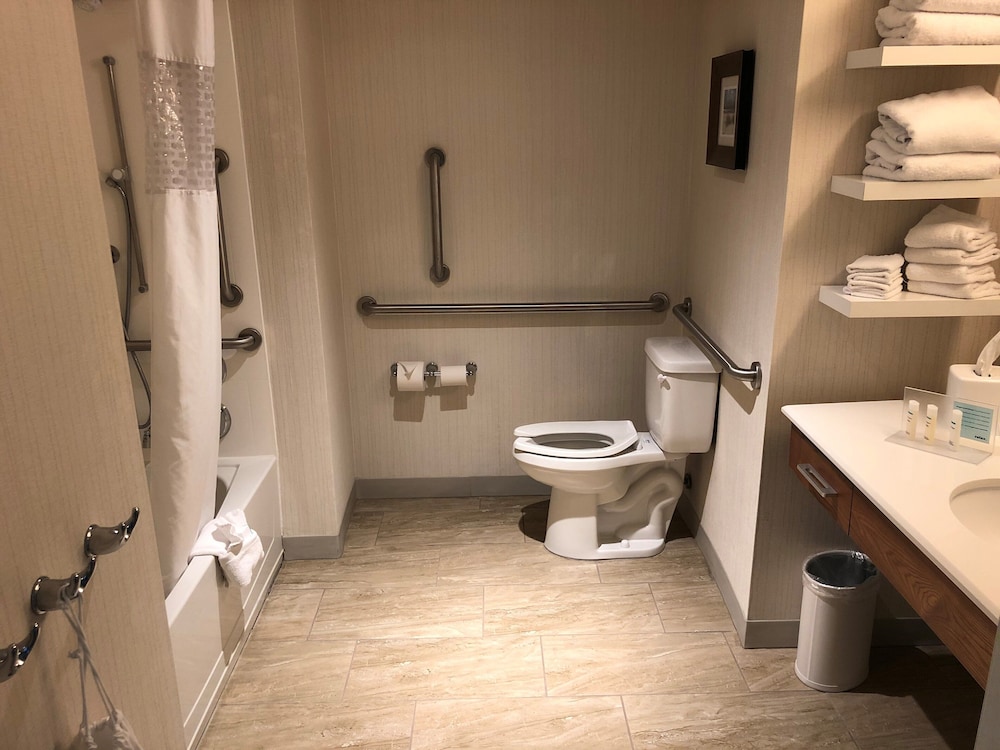 Hampton Inn & Suites by Hilton Tampa Busch Gardens Area, Fotografia 4