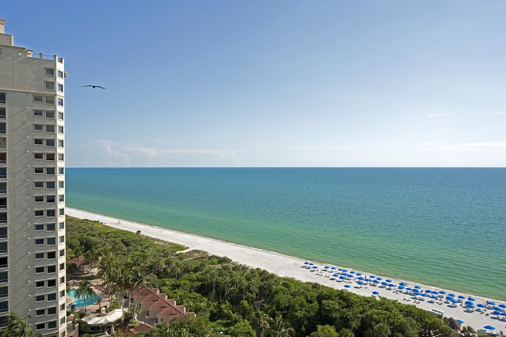 Club Room, 1 King Bed, Ocean Front (Mobility Accessible, Roll-in Shower) - Photo 2