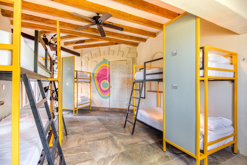Bed In 8-Bed Dormitory Room