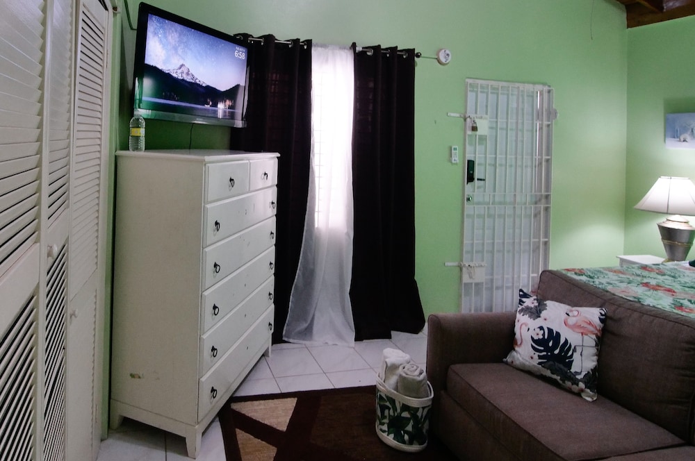 Grand Single Room, 1 King Bed photo 3