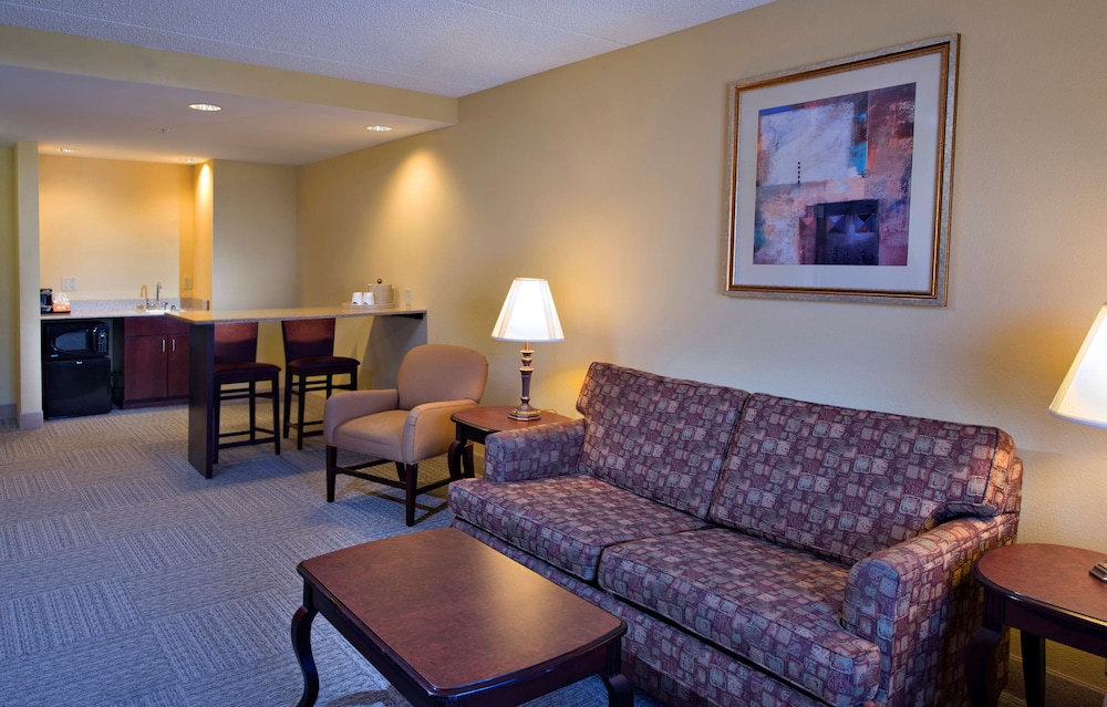 Suite, 1 King Bed, Non Smoking photo 3