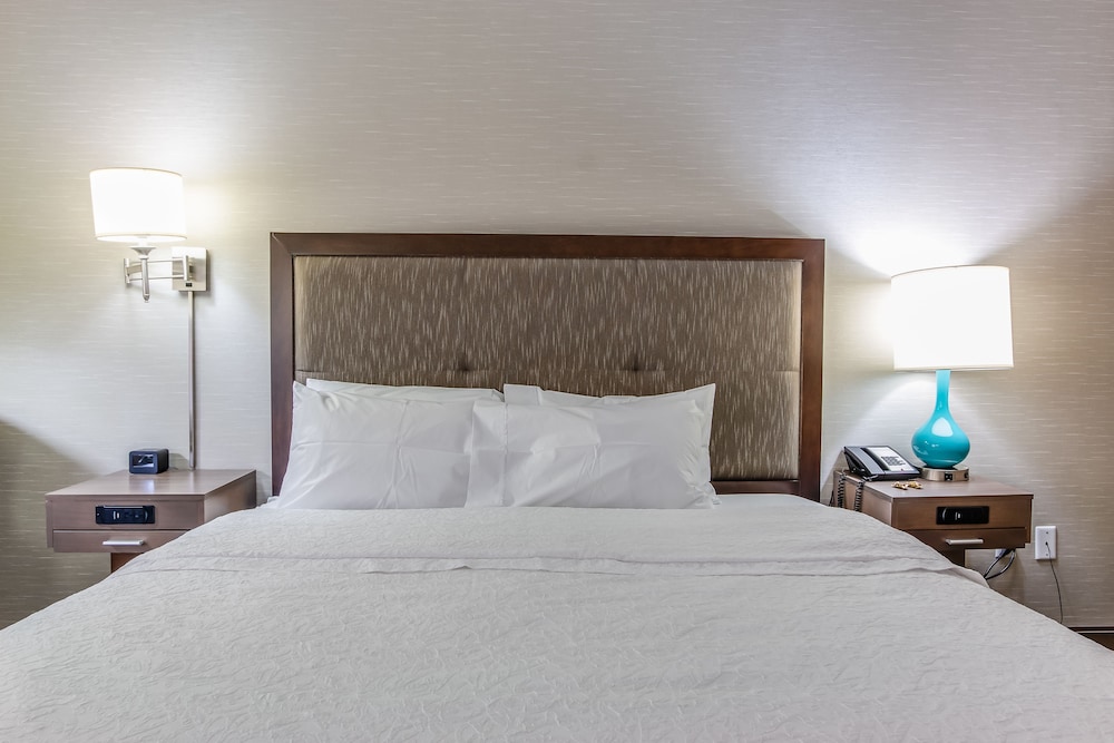 Room, 1 King Bed, Accessible - Photo 8