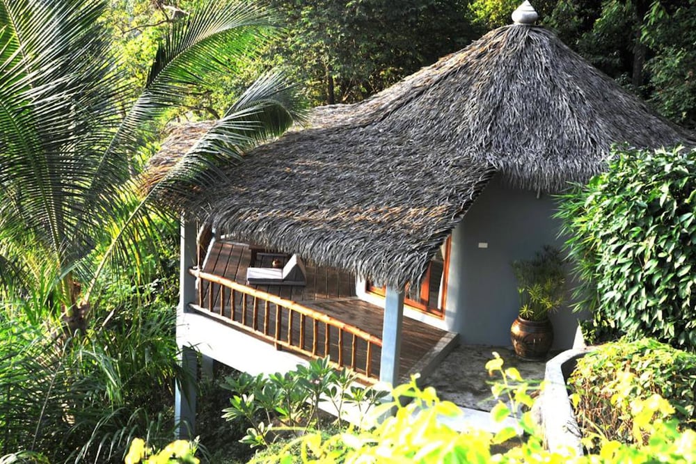 Jungle Lodge