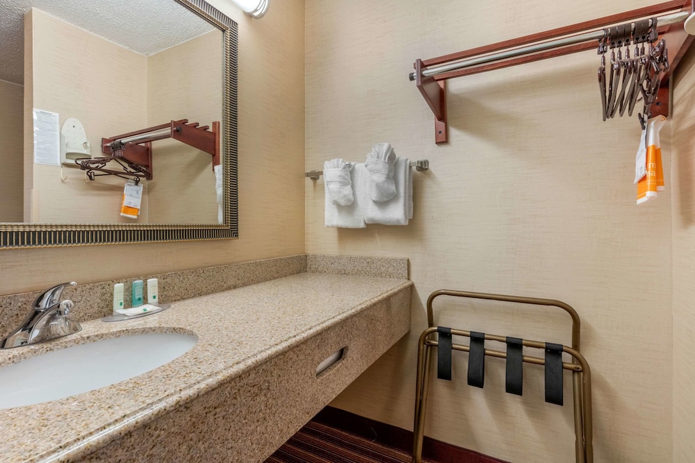 Standard Room, 1 King Bed, Smoking - Photo 12