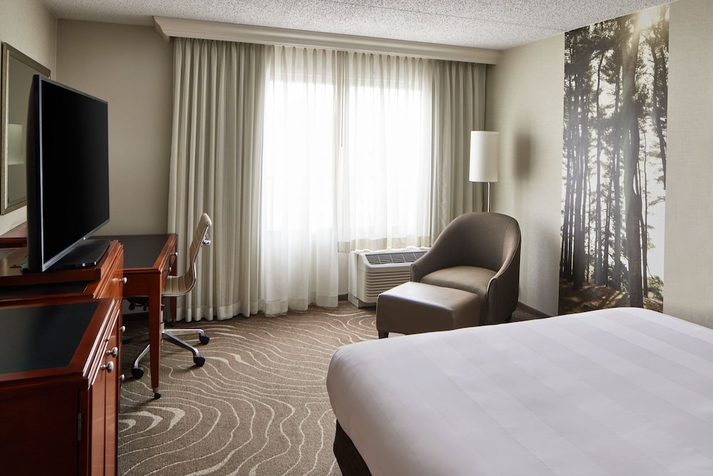 Concierge Room, Room, 1 King Bed