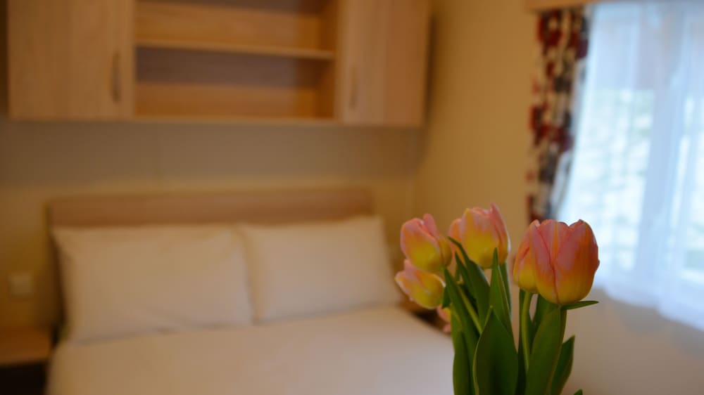 Small Caravan with Loch View - Pet Friendly photo 2