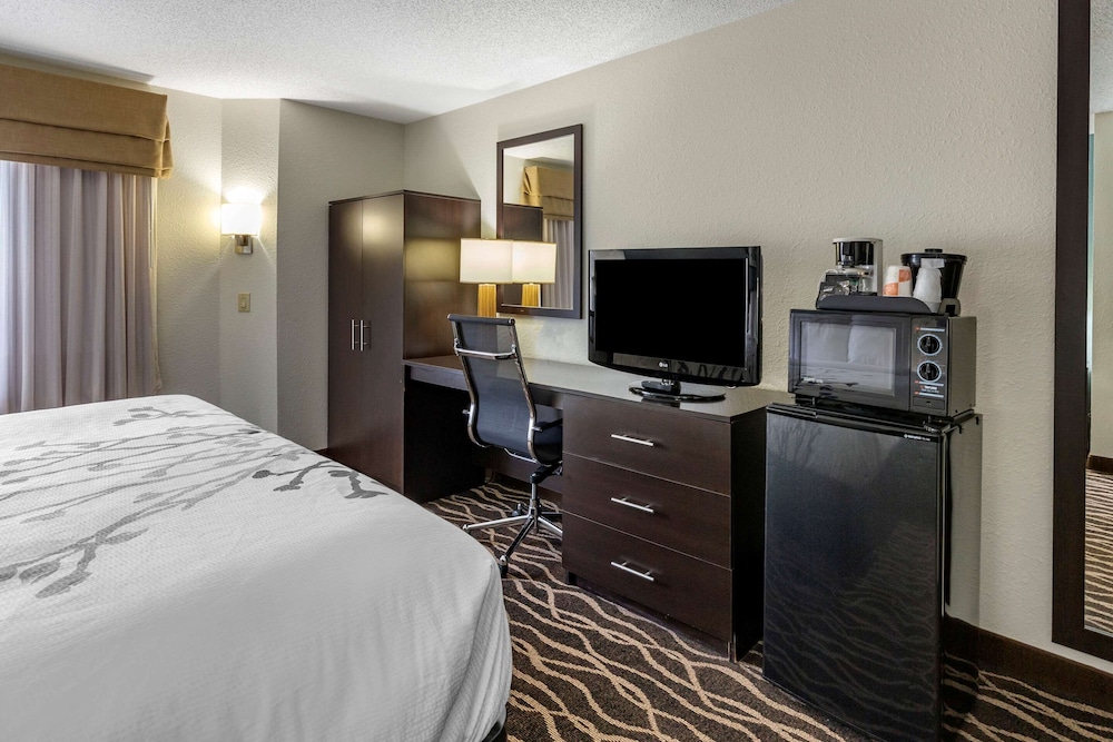 Standard Room, 1 King Bed, Non Smoking - Photo 4