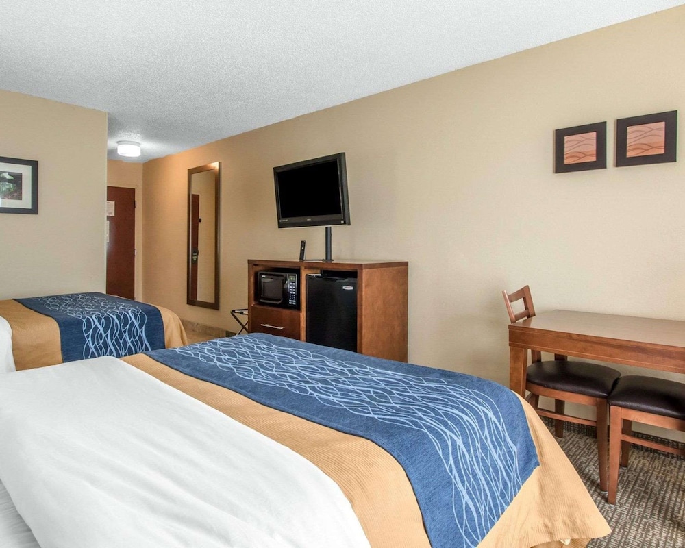 Standard Room, 2 Double Beds, Non Smoking photo 2