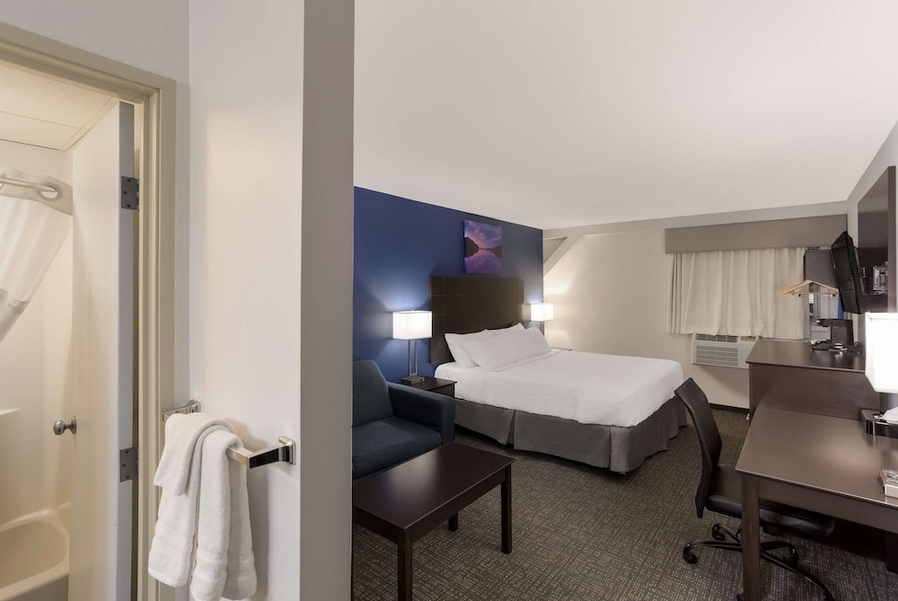 Standard Room, 1 King Bed, Non Smoking, Refrigerator & Microwave (With Sofabed) - Photo 3