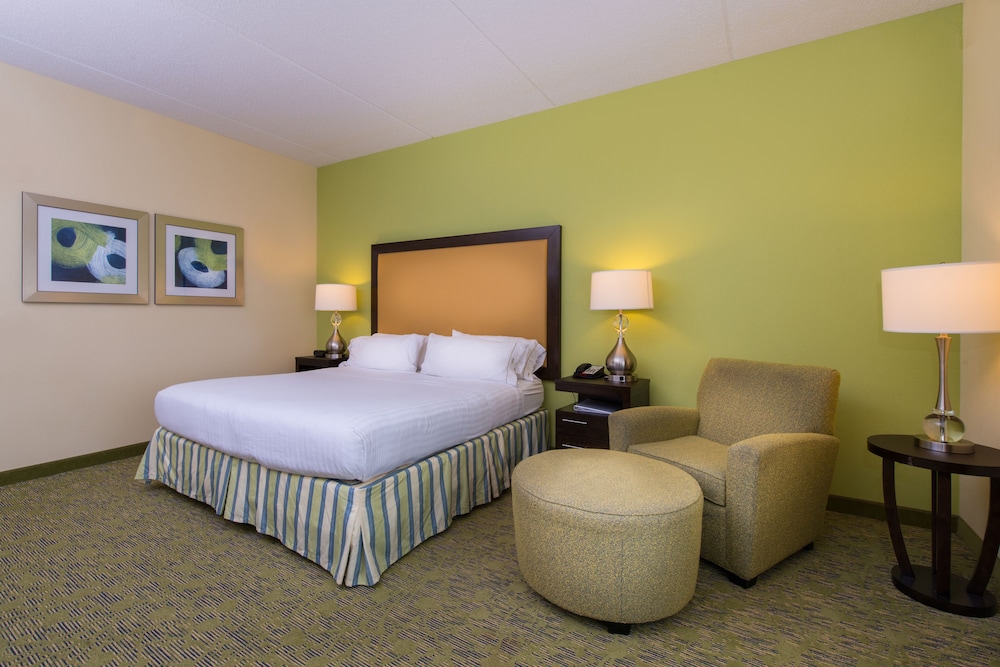 Standard Room, 1 King Bed, Roll-in Shower (Communications Accessible) - Photo 2