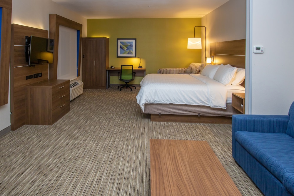 Suite, 1 King Bed photo 1
