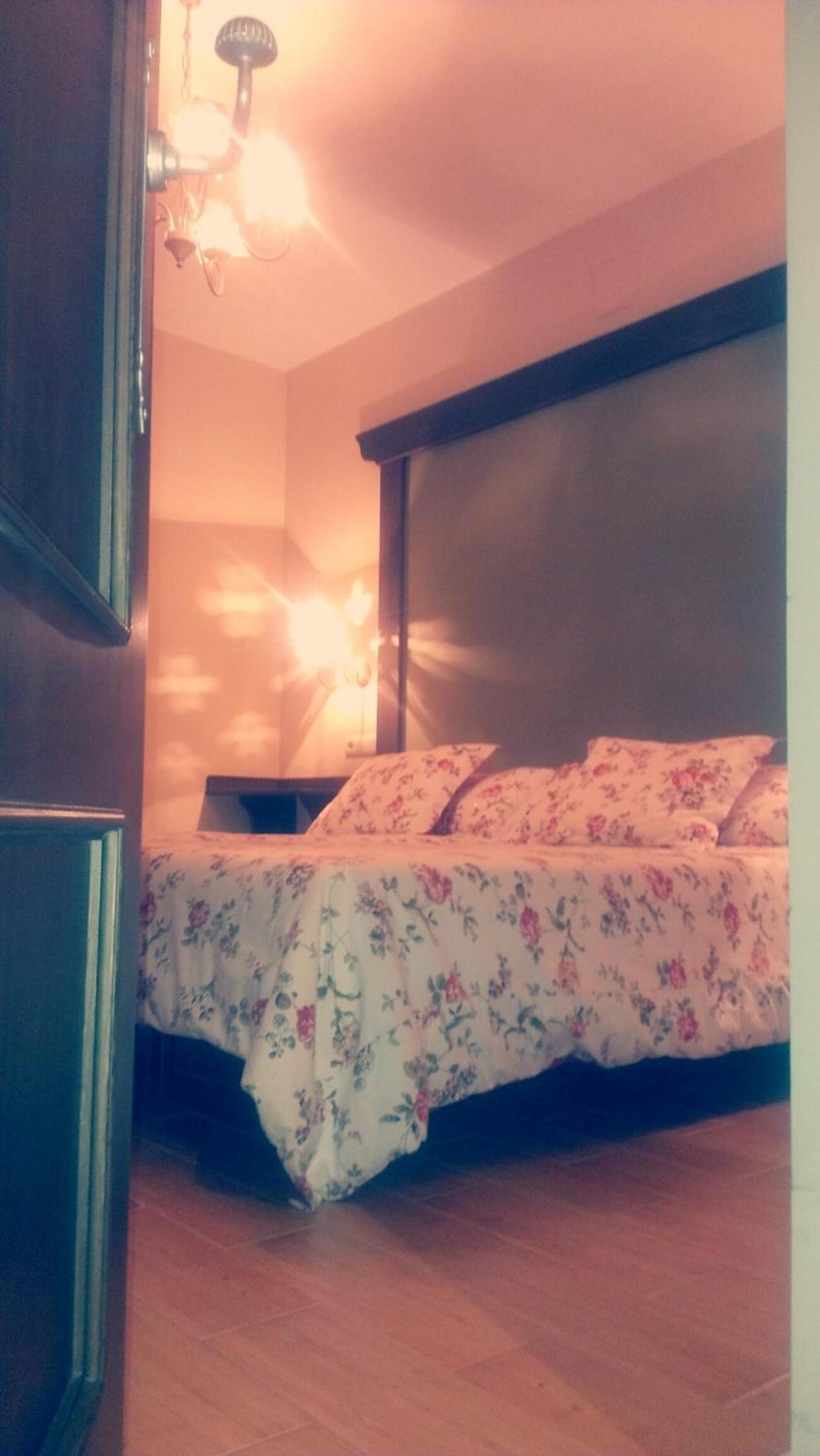 Double or Twin Room photo 3