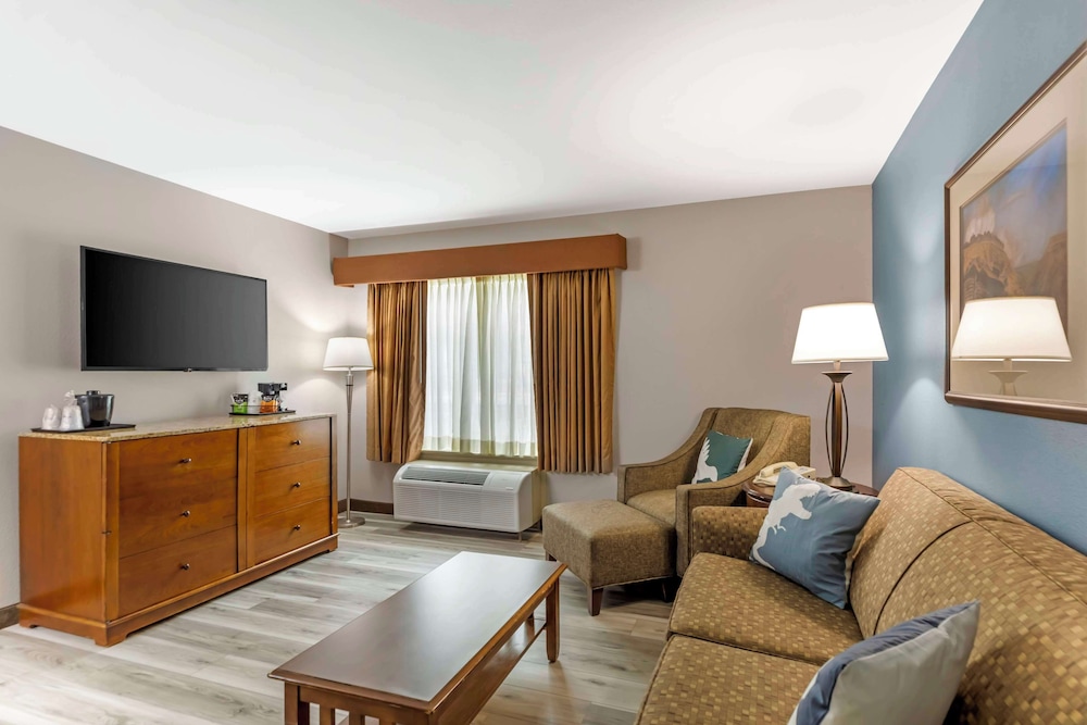 Suite, 1 King Bed with Sofa bed, Accessible, Non Smoking (with Sofabed) - Photo 4