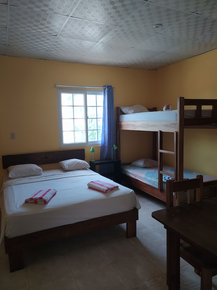Standard Apartment, City View, Ground Floor photo 2