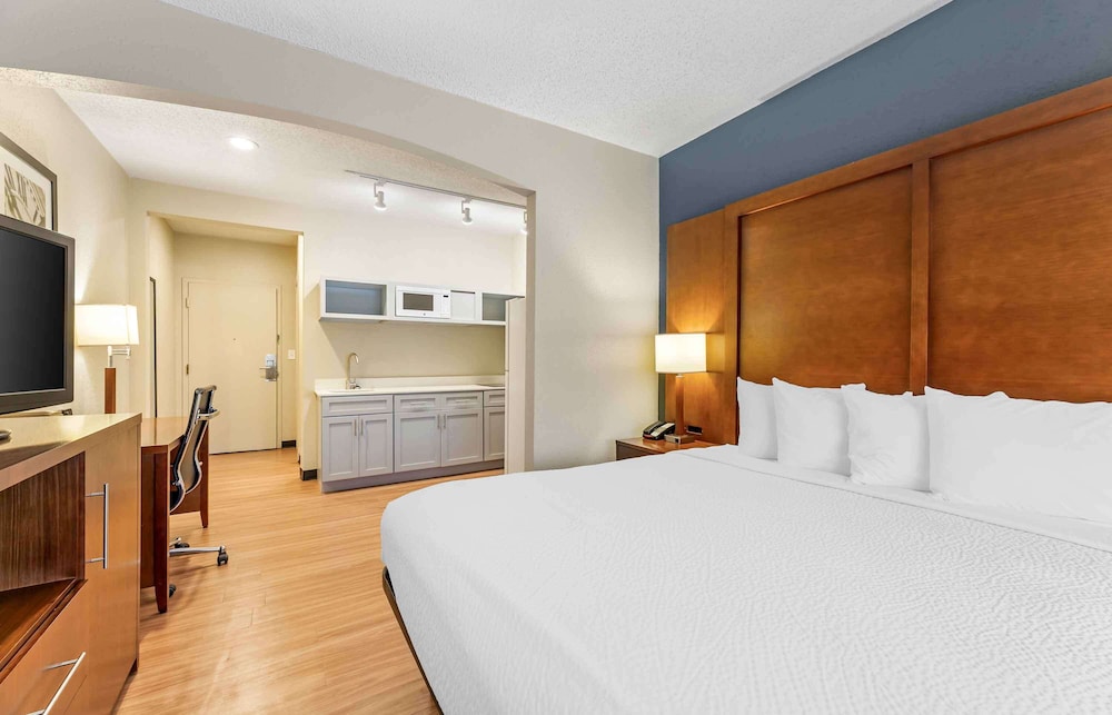 Standard Studio, 1 King Bed, Non Smoking, Refrigerator & Microwave - Photo 3