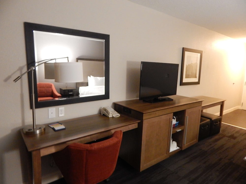 Room, 1 King Bed, Accessible photo 1