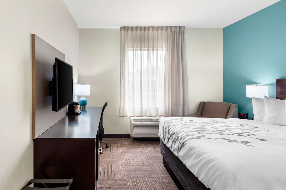 Room, 1 King Bed, Accessible, Non Smoking - Photo 4