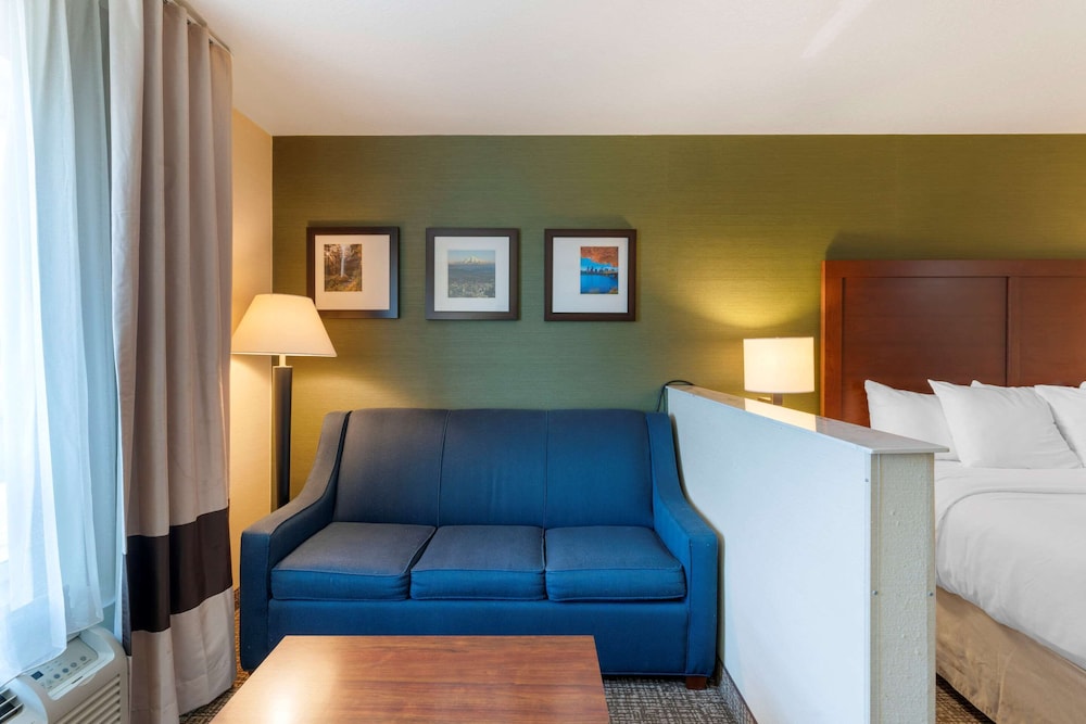Suite, 1 King Bed with Sofa bed, Non Smoking - Photo 1