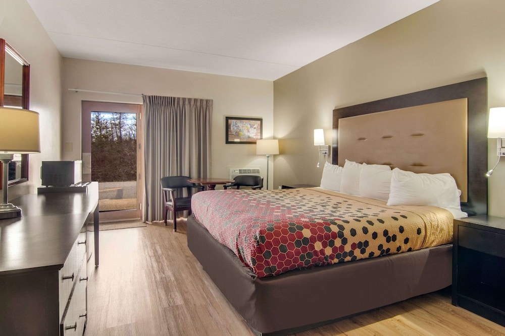 Room, 1 King Bed photo 1