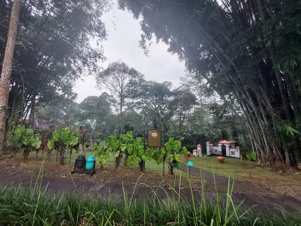 Arum Garden Villa photo 3