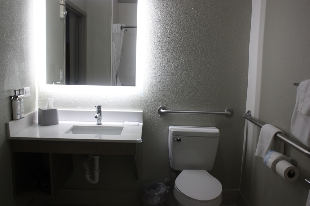 Holiday Inn Express Hotel & Suites Shamrock North by IHG, Photo 5