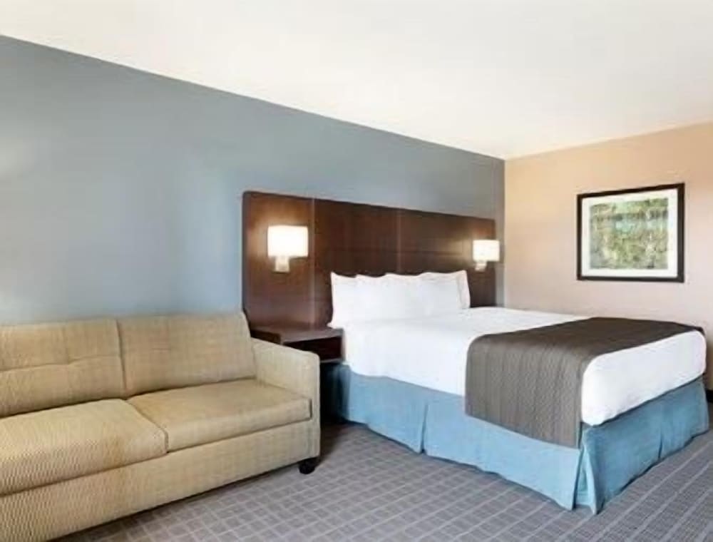 Suite, 1 King Bed - Photo 4