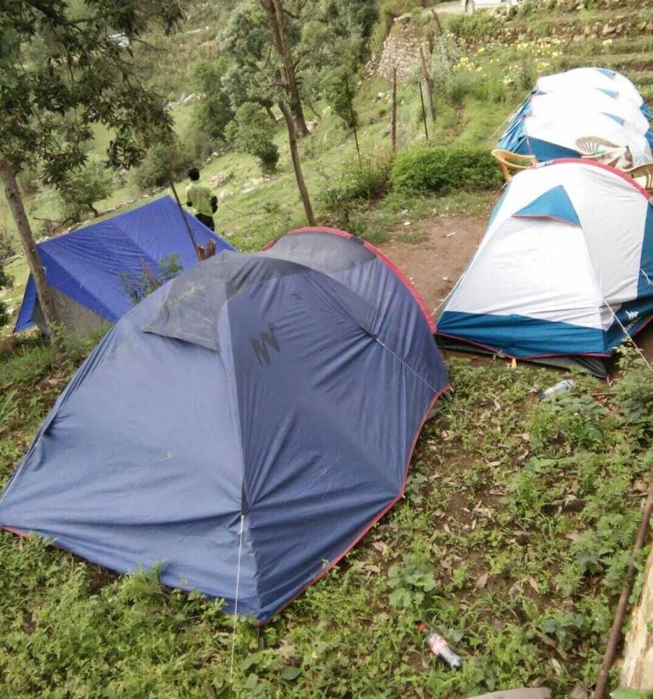 Comfort Tent, Mountain View photo 3