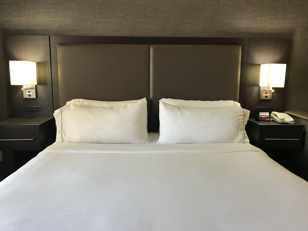 Suite, 1 King Bed with Sofa bed - Photo 2
