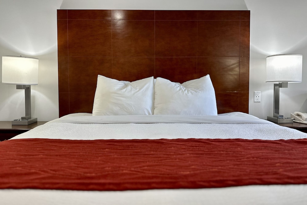 Standard Room, 1 King Bed, Non Smoking, Refrigerator & Microwave photo 3