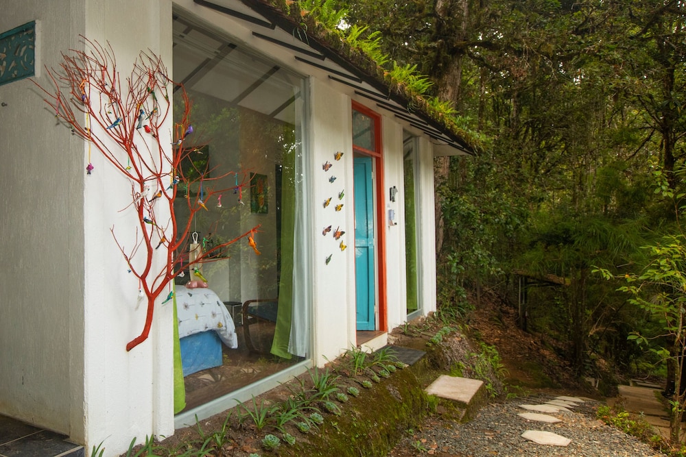 Standard Bungalow photo 2