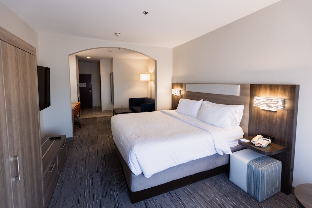 Suite, 1 King Bed - Photo 1