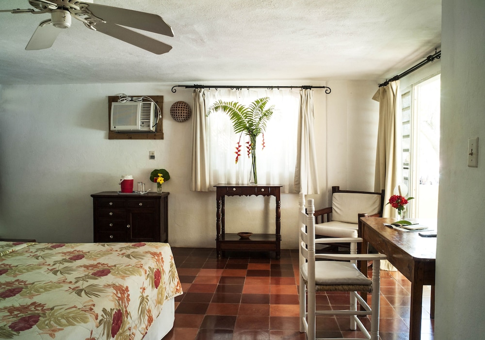 Classic Room, 1 Queen Bed, Non Smoking, Ocean View photo 3