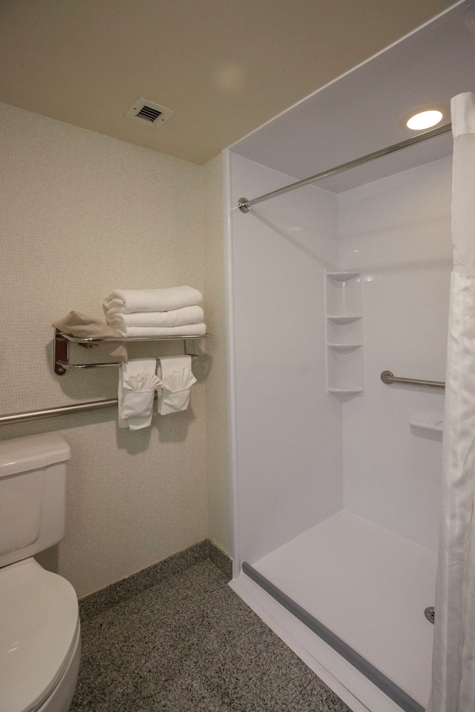 Room, 1 King Bed, Accessible, Non Smoking (Roll-in Shower) - Photo 3