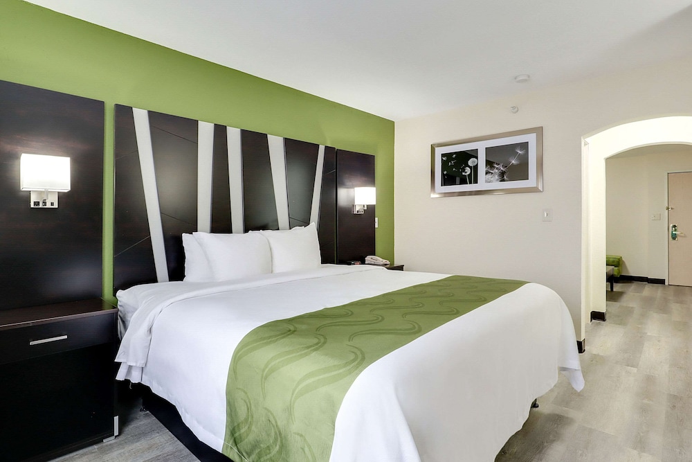 Suite, 1 King Bed with Sofa bed, Accessible, Non Smoking - Photo 6