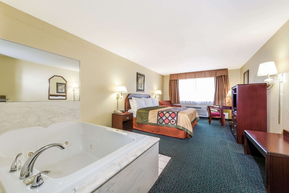 Suite, 1 King Bed