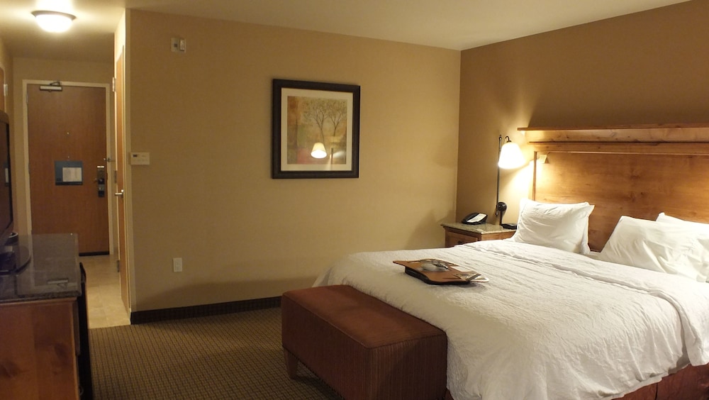 Room, 1 King Bed, Accessible - Photo 7