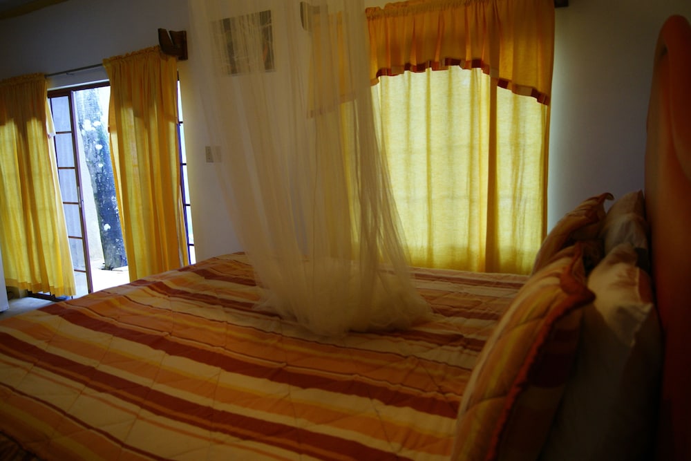 Suite, 1 Bedroom photo 3