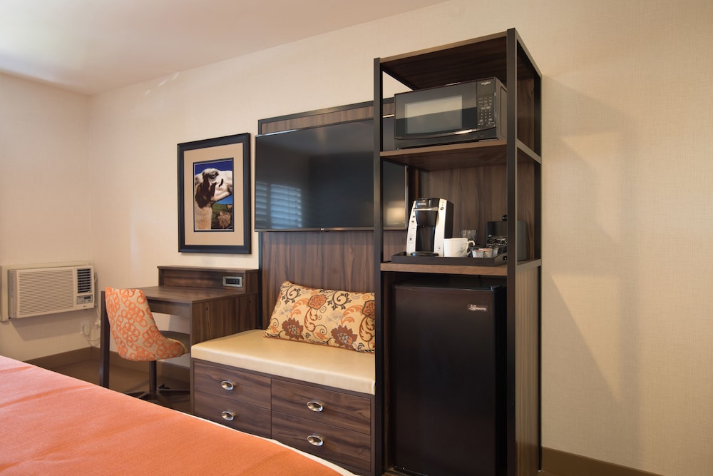 Deluxe Single Room, 1 King Bed, Non Smoking - Photo 3