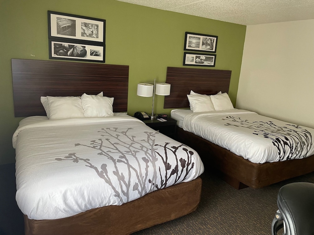 Standard Room, 2 Queen Beds - Photo 1