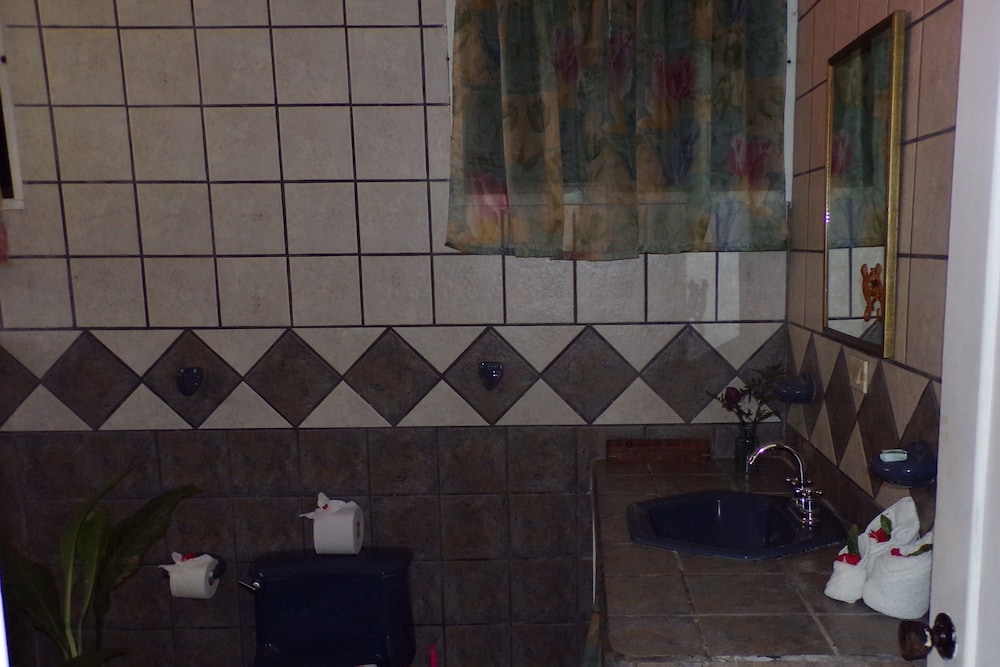 Basic Suite, Kitchenette, Poolside photo 3