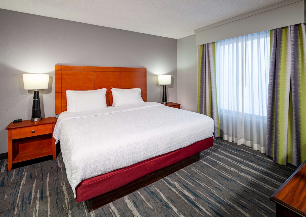 Studio Suite, 1 King Bed - Photo 3