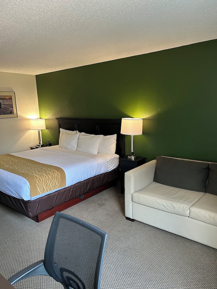 Room, 1 King Bed, Non Smoking - Photo 2