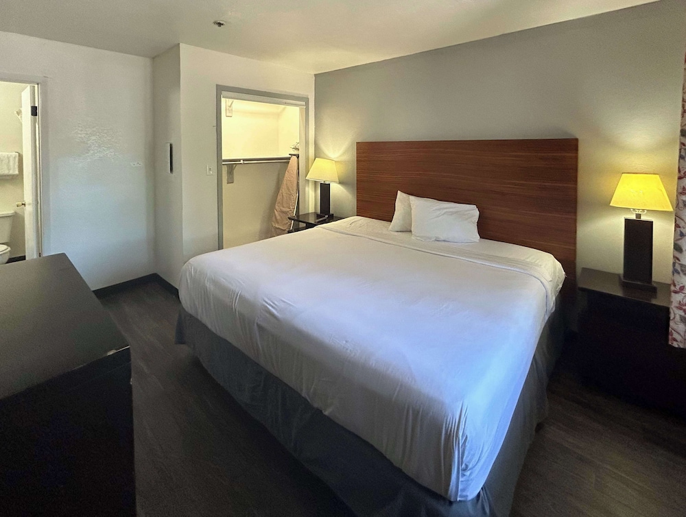 Standard Suite, 1 King Bed, Non Smoking, Kitchenette photo 2